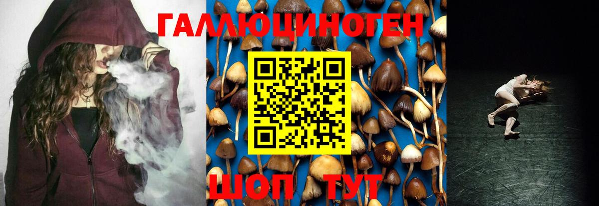 Галлюциногенные грибы ЛСД Луховицы